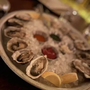 Oysters