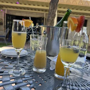 Mimosa bucket