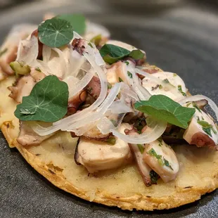 Octopus huarache