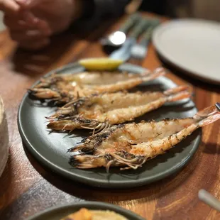 oysters and mussels, food
