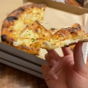 Cheese Please Pizza