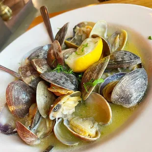 oysters and mussels, shellfish, food, oysters, mussels