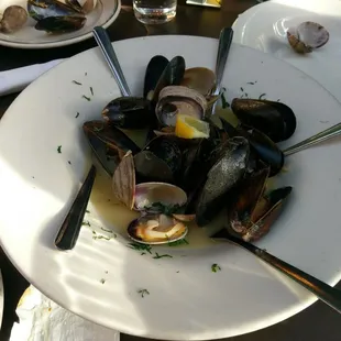 Muscles and clams