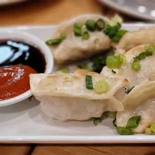 pan fried pork dumpling