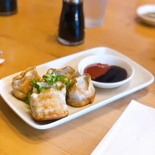 pan fried chicken dumpling