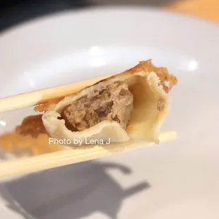 Fried Pork Dumplings