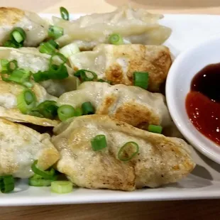 Pan Fried Dumplings