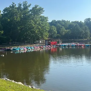 Paddle boats