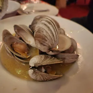 Steamed Clams