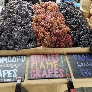 Delicious grapes, i tried them all!!