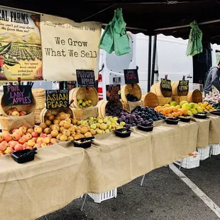 These fruits are not to be missed!!!