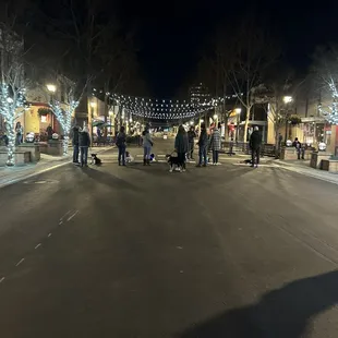 Dog event near this