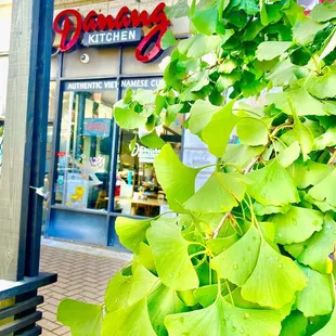 Signature Signage behind the Ginkgo Tree-08/23