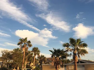 Dance Trance Neptune Beach