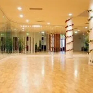 Dance Unlimited Tiger Salon