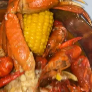 this is a screenshot from a video, dont mind the blurry-ness
