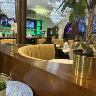 a bar with a plant in a pot