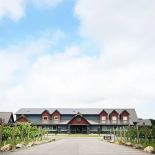 Dancing Dragonfly Winery