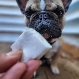 Neko gets his precious marshmellow while mum gets her chocolate fix