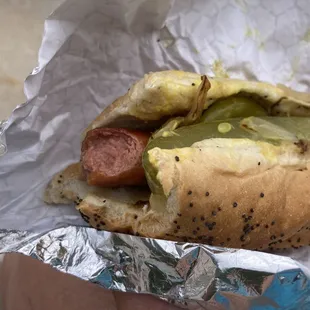 Mondo Dog today at Dandelion