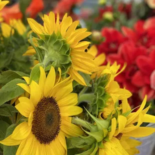 Flowers and more flowers.