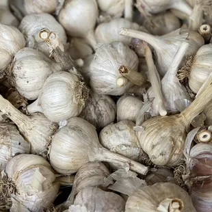Garlic!!