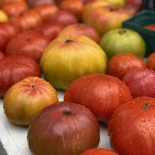 Tomatoes grown in real Dirt