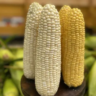Corn on the cob anyone? You won't find Better corn