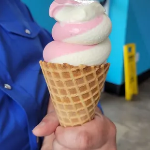 a person holding an ice cream cone