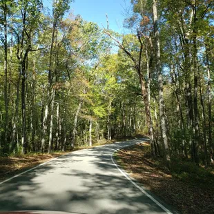 Driving the Red River Gorge Scenic Byway