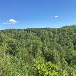 View from one of the clearing while hiking