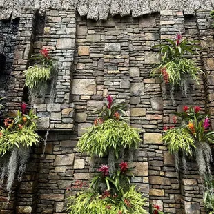 Inside Orchid Conservatory