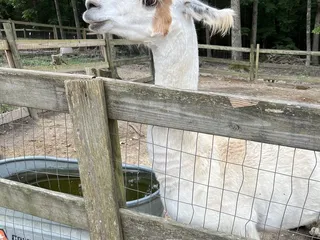 Darby Acres Farm