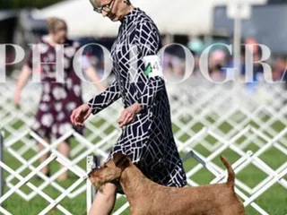 Bark at the Moon Doggy Spaw