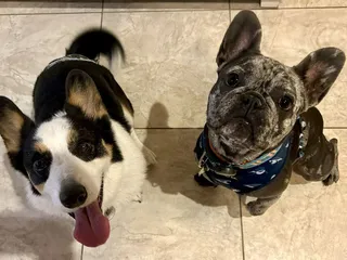 Gray's Outer Banks Lifestyle Clothing Company