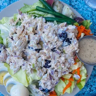 Tuna Salad- very substantial portion