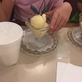 Dish of Vanilla Ice Cream