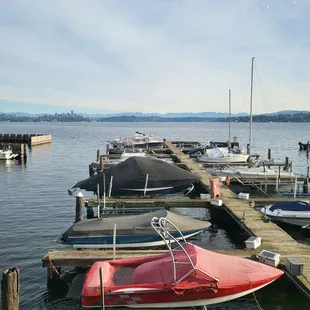 Lake Washington View