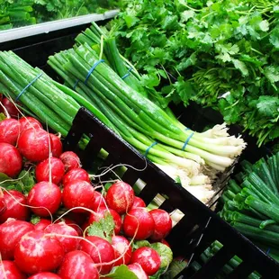 Daniels Foods Sentry, West, Janesville, WI, fresh produce