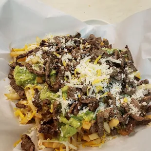 Carne Asada Fries