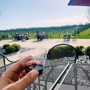 a hand holding a glass of wine