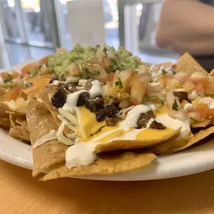 1/2 carne asada chips and 1/2 carne asada fries