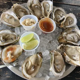 Freshly shucked oysters. $18 a dozen on 11/18/23.