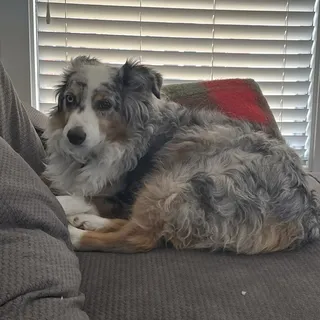B M.