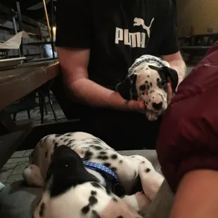 The dog friendly patio is the best.