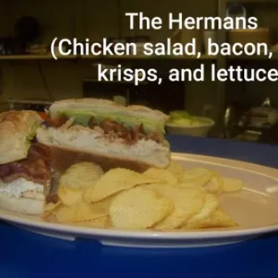 food, sandwiches, sandwich