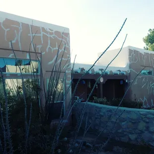 elastomeric stucco coatings