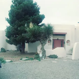 elastomeric stucco coatings