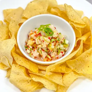 Starter Ceviche