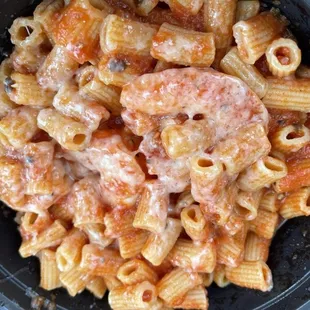 Rigatoni Pasta/marinara with shrimp